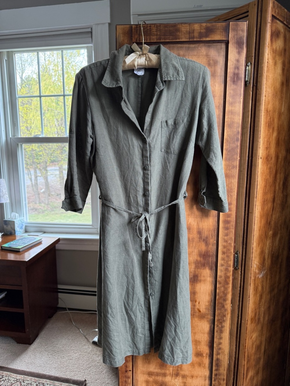 Patagonia Olive Button-Front Shirt Dress